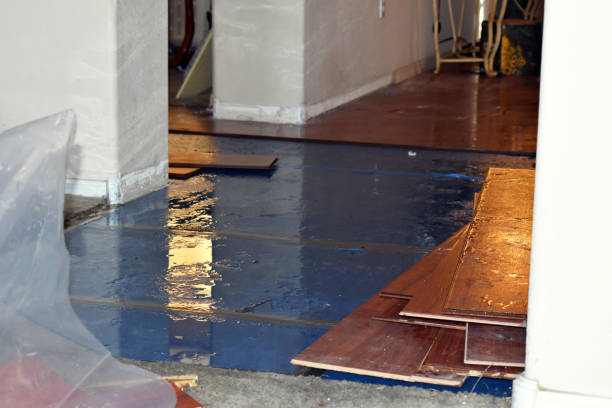 Professional Burst Pipe Cleanup technician working in Burke, SD