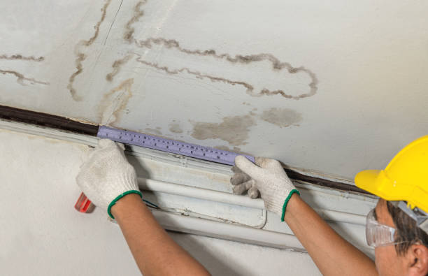 Reliable Burst Pipe Cleanup contractor in Burke, SD by Water Damage Irwin